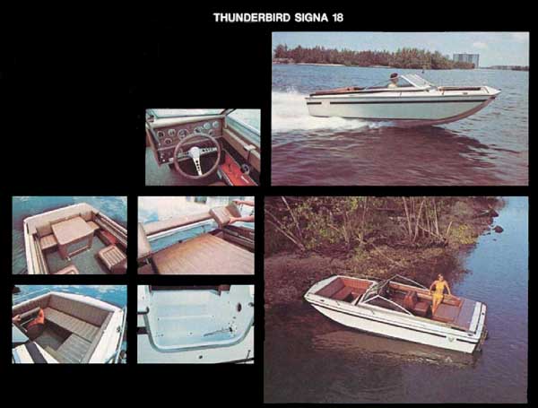 The brochure page.
